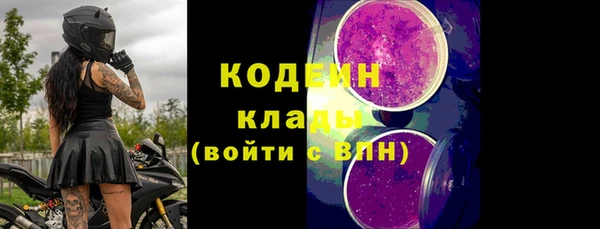 дмт Осинники