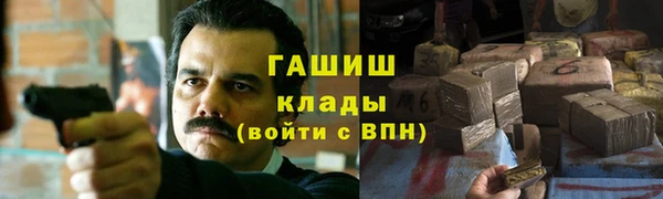 дмт Осинники