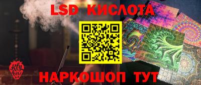 стафф Дубна