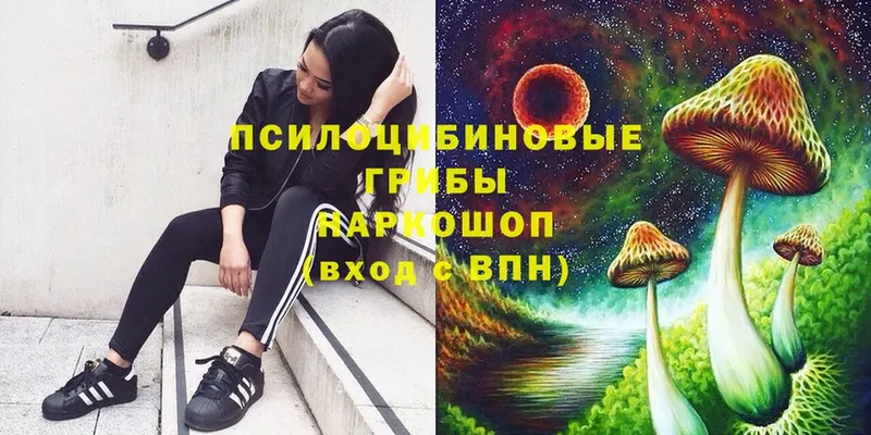 Псилоцибиновые грибы мицелий  Красногорск 