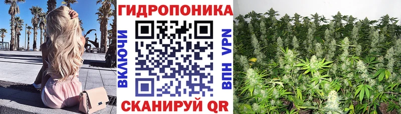 наркота  Красногорск  Канабис гибрид 